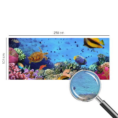 Modern fototapet Koralrev