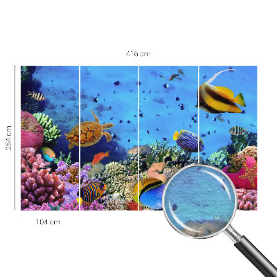 Modern fototapet Koralrev