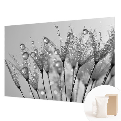 Fotostat Våd delikatesse