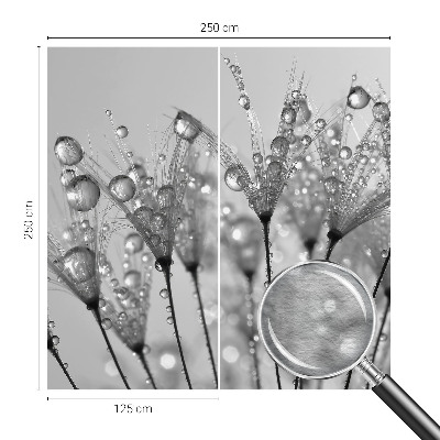 Fotostat Våd delikatesse