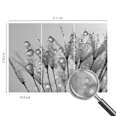 Fotostat Våd delikatesse