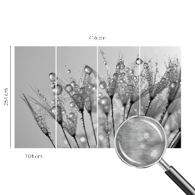 Fotostat Våd delikatesse