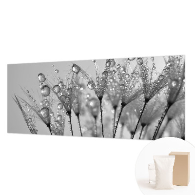 Fotostat Våd delikatesse