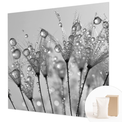 Fotostat Våd delikatesse