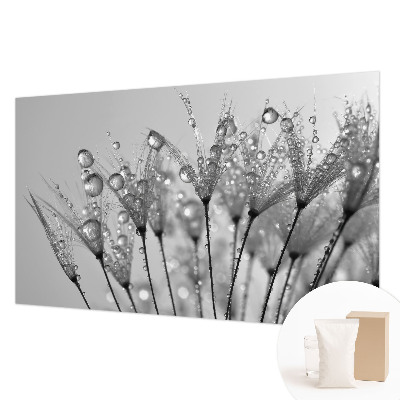 Fotostat Våd delikatesse