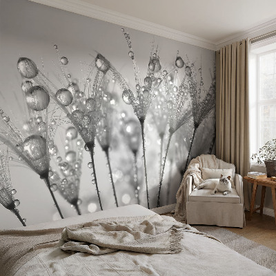 Fotostat Våd delikatesse