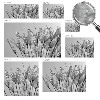 Fotostat Våd delikatesse