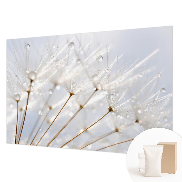 3D fototapet Rosenrød mælkebøtte