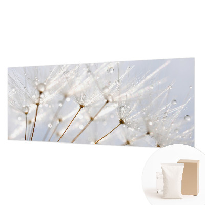 3D fototapet Rosenrød mælkebøtte