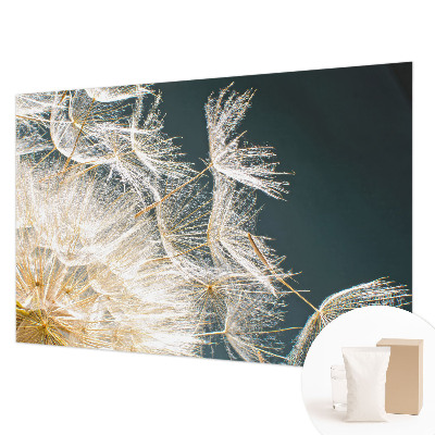 Fotostat Mælkebøtte af lethed