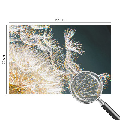 Fotostat Mælkebøtte af lethed