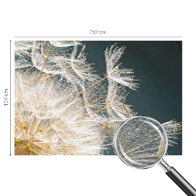 Fotostat Mælkebøtte af lethed