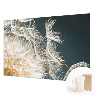 Fotostat Mælkebøtte af lethed