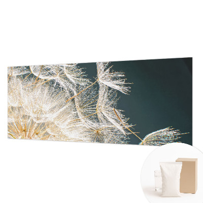 Fotostat Mælkebøtte af lethed