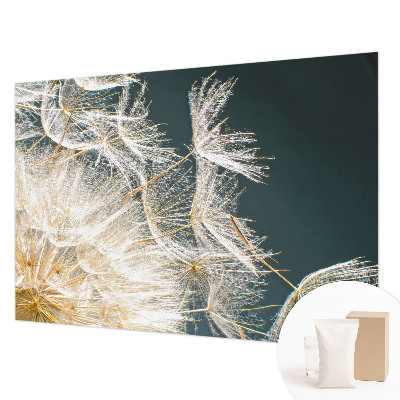 Fotostat Mælkebøtte af lethed