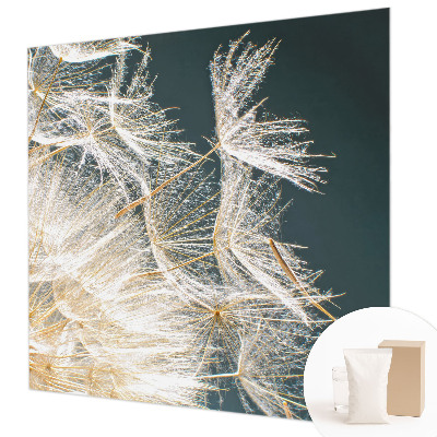 Fotostat Mælkebøtte af lethed