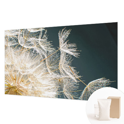 Fotostat Mælkebøtte af lethed