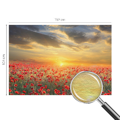 Fototapet soveværelse Valmuefelt