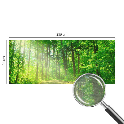 Fototapet børneværelse Skovsti