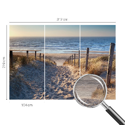Fototapet efter mål med motiv af en strandsti