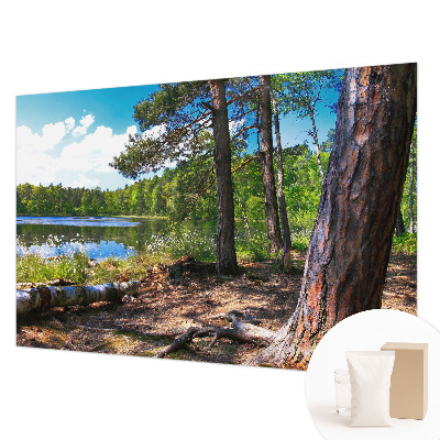 Modern fototapet Skovlandskab