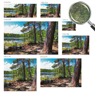 Modern fototapet med motiv af et skovlandskab