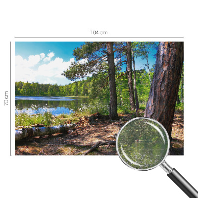 Modern fototapet med motiv af et skovlandskab