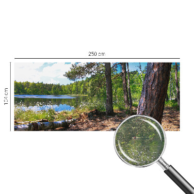 Modern fototapet med motiv af et skovlandskab