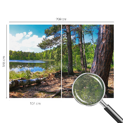 Modern fototapet Skovlandskab