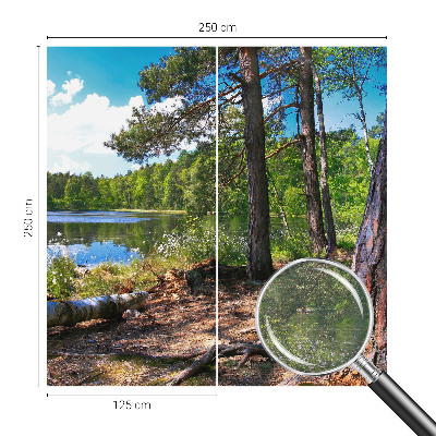 Modern fototapet med motiv af et skovlandskab
