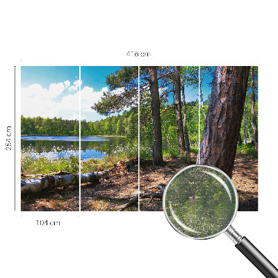 Modern fototapet Skovlandskab