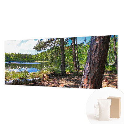 Modern fototapet Skovlandskab