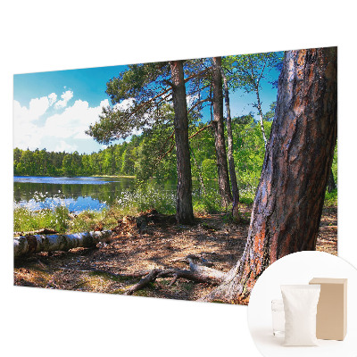 Modern fototapet Skovlandskab