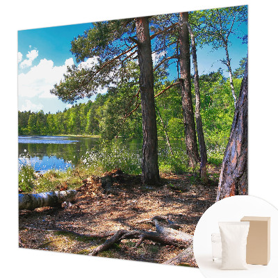 Modern fototapet med motiv af et skovlandskab