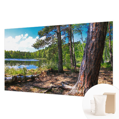 Modern fototapet Skovlandskab