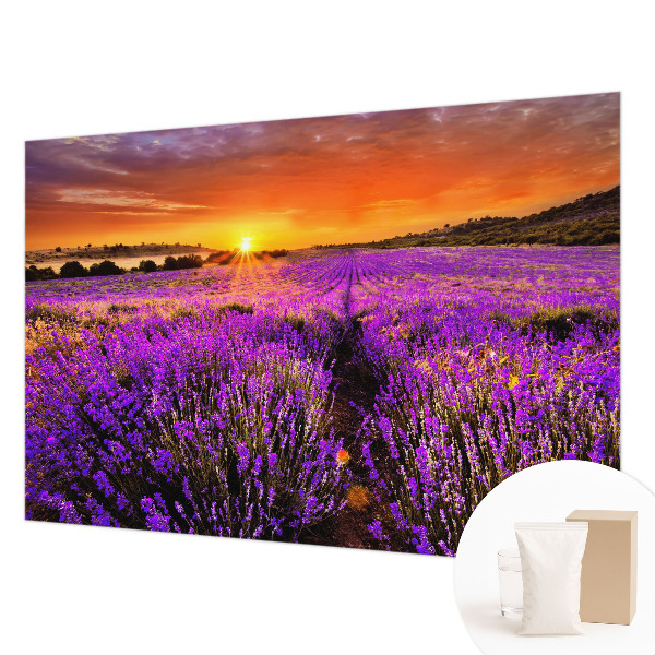 Fototapet stue Lavendel Solnedgang