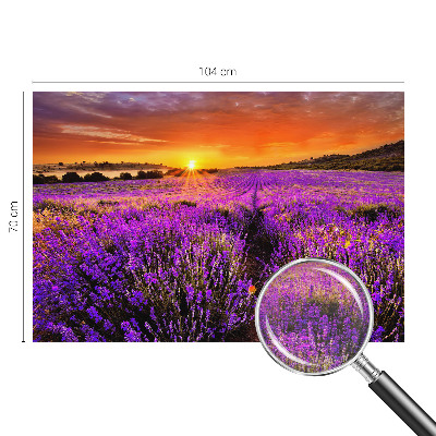 Fototapet stue Lavendel Solnedgang