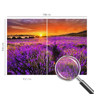 Fototapet stue Lavendel Solnedgang