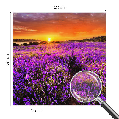Fototapet stue med motiv af lavendel ved solnedgang