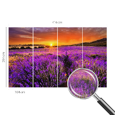 Fototapet stue med motiv af lavendel ved solnedgang