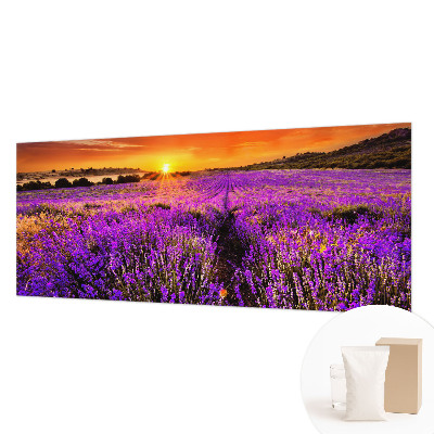 Fototapet stue Lavendel Solnedgang