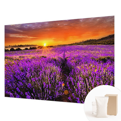 Fototapet stue med motiv af lavendel ved solnedgang