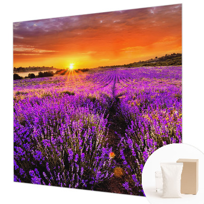 Fototapet stue med motiv af lavendel ved solnedgang