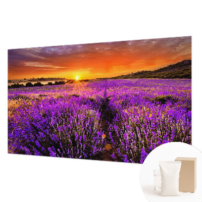 Fototapet stue Lavendel Solnedgang
