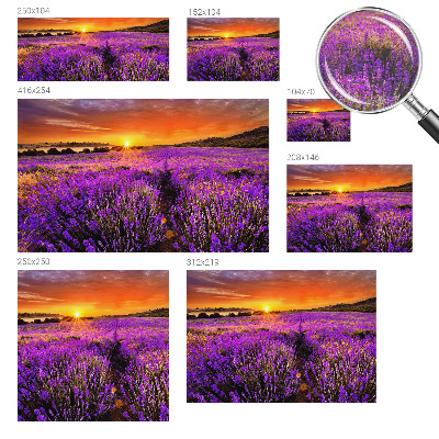 Fototapet stue Lavendel Solnedgang
