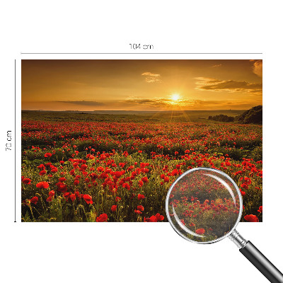 Stor fototapet Valmuefelt