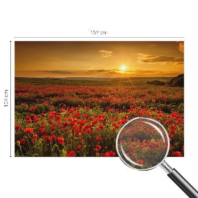 Stor fototapet Valmuefelt