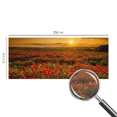 Stor fototapet Valmuefelt