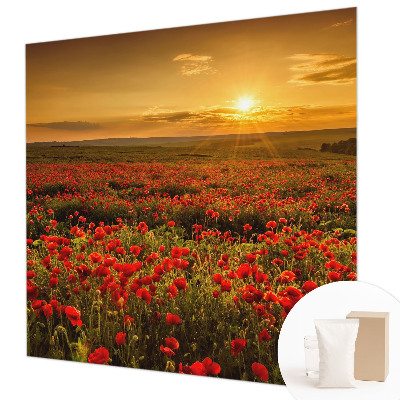 Stor fototapet Valmuefelt