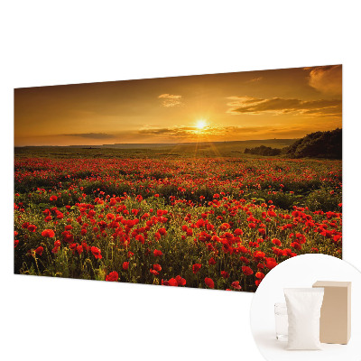 Stor fototapet Valmuefelt